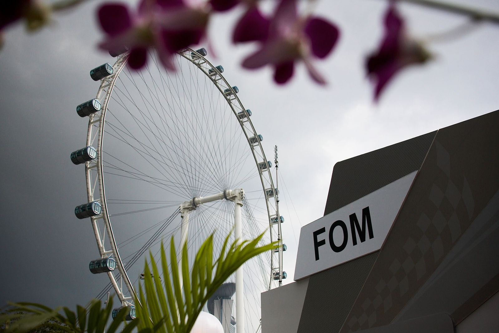 The world's tallest Ferris wheel raises above the paddock