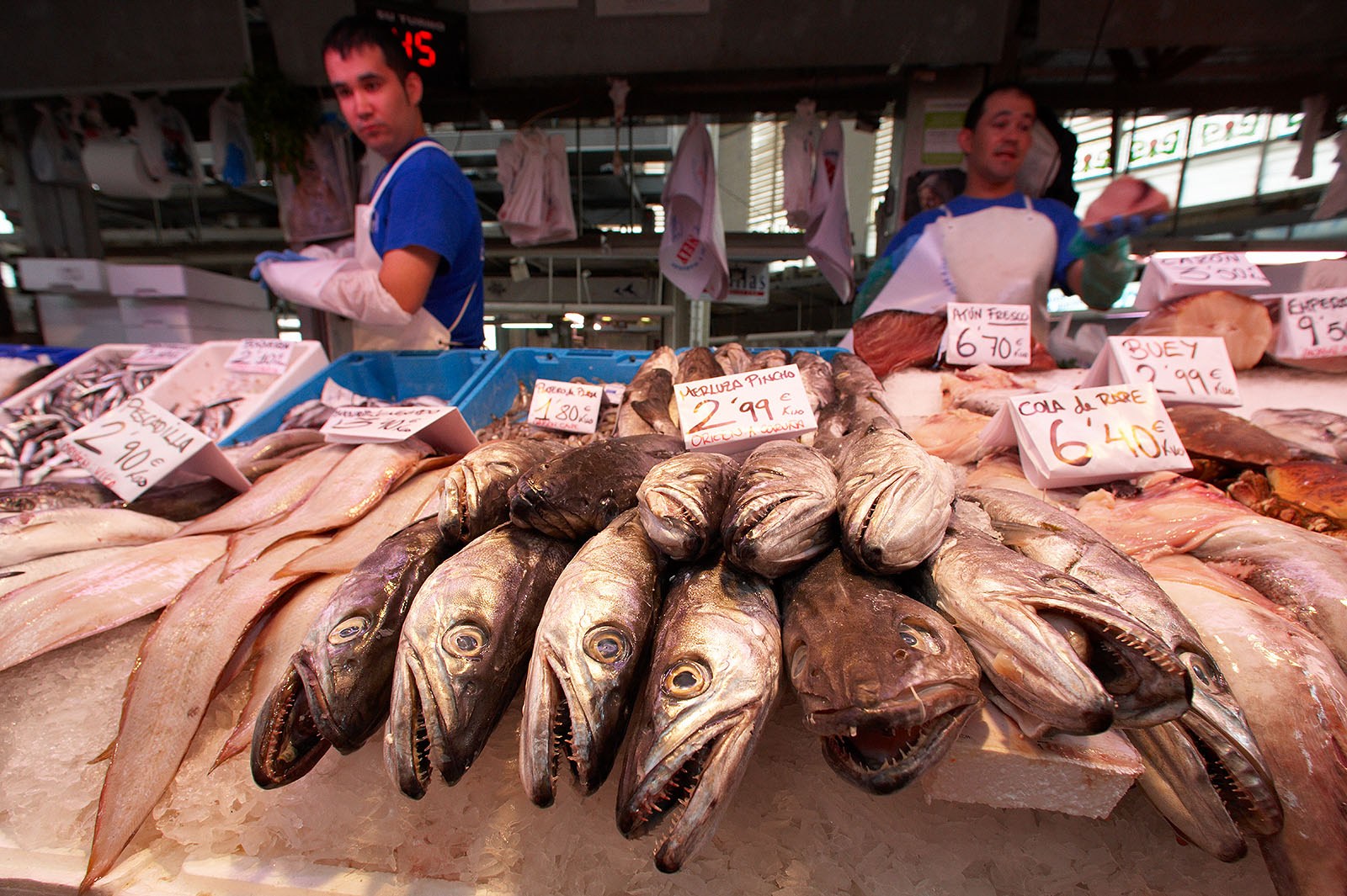 Fresh fish on the market