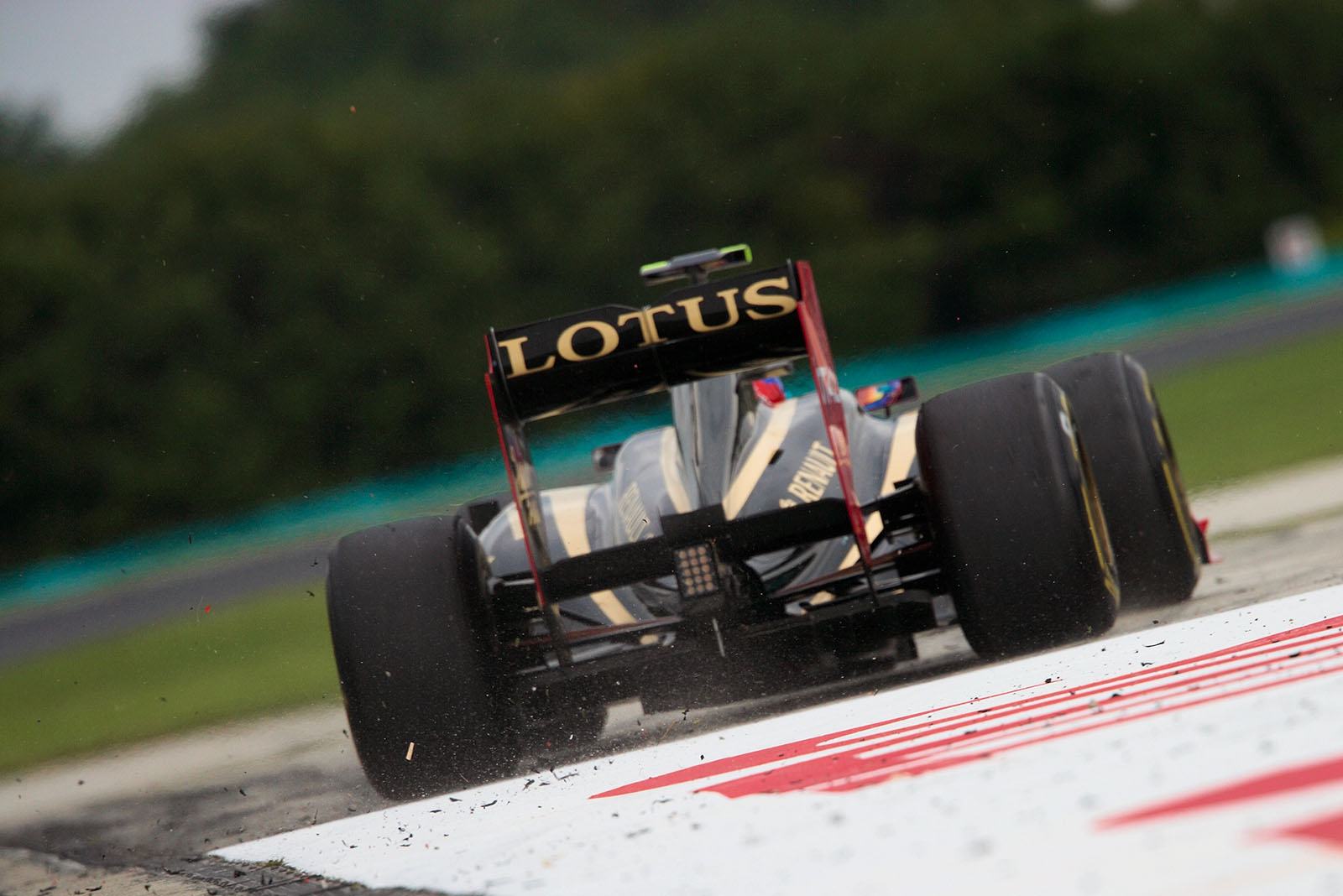 Vitaly Petrov, Lotus Renault GP