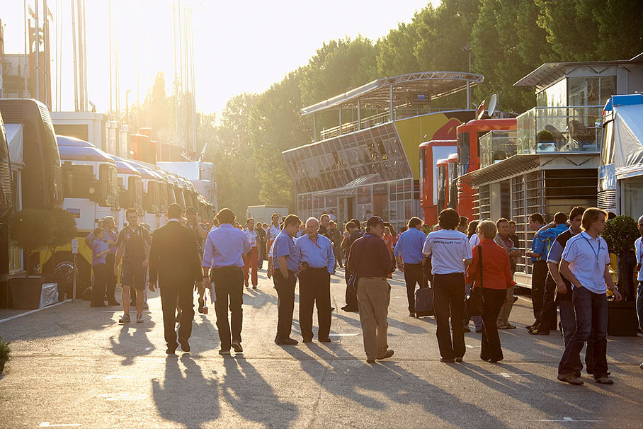 Evening mood in paddock