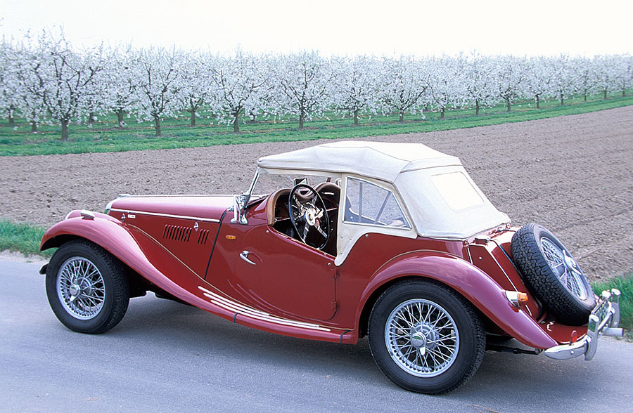 MG TF 1954